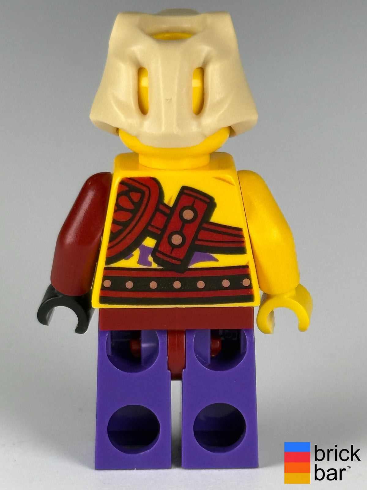 Kapau njo0122 LEGO NINJAGO minifigure, back view