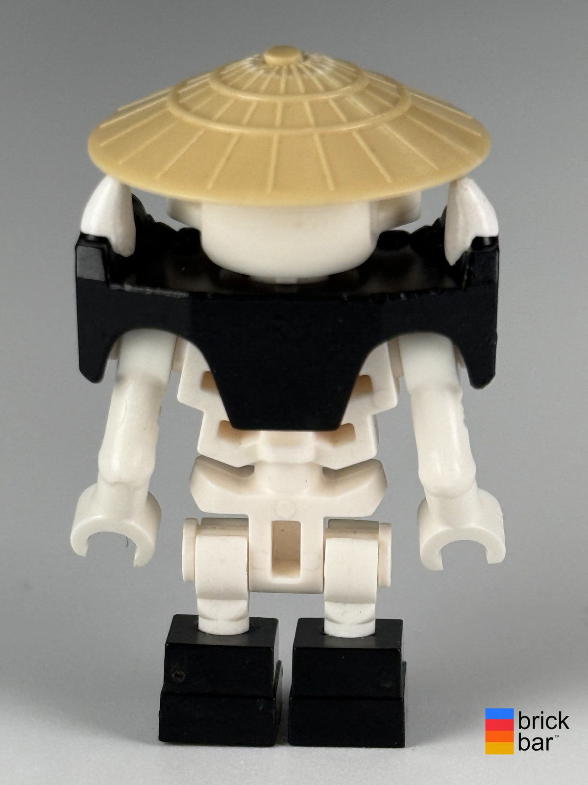 Wyplash (Skulkin) - Vertical Grip Hands njo0027 LEGO NINJAGO minifigure, back view