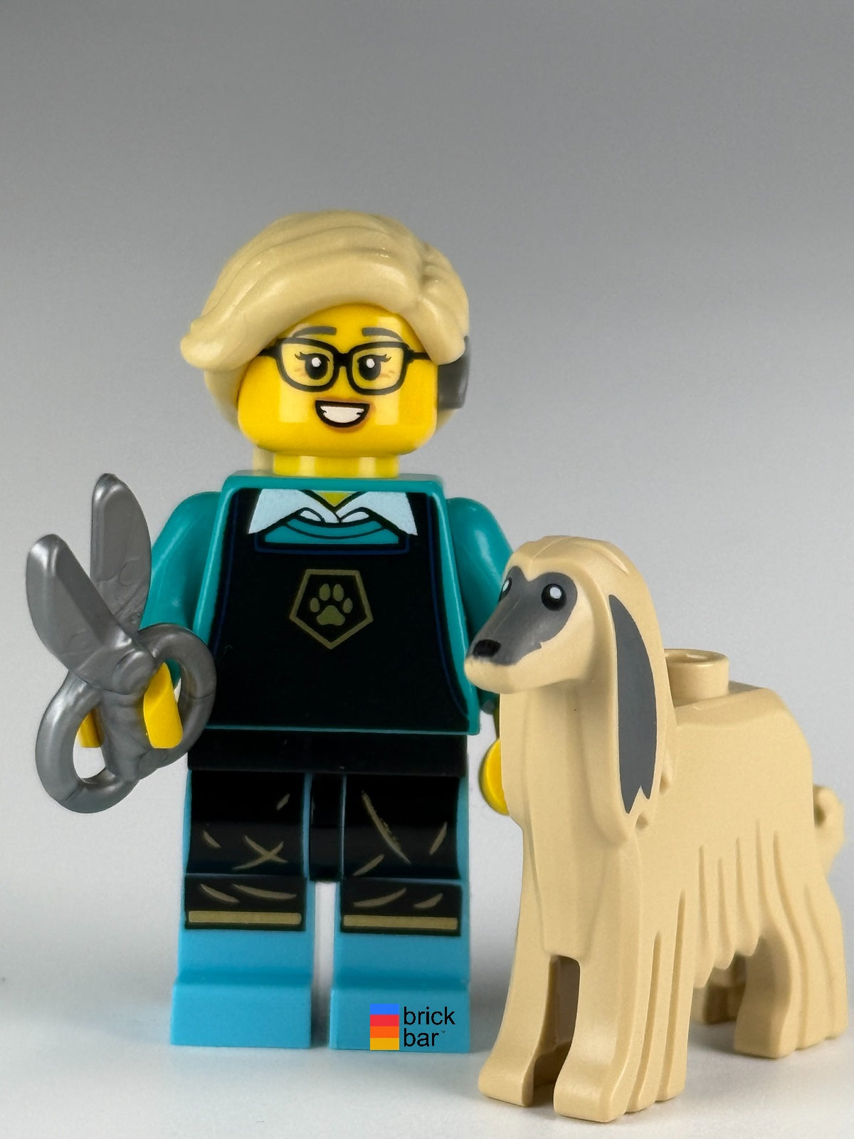 LEGO Pet Groomer col435, Series 25 — front view